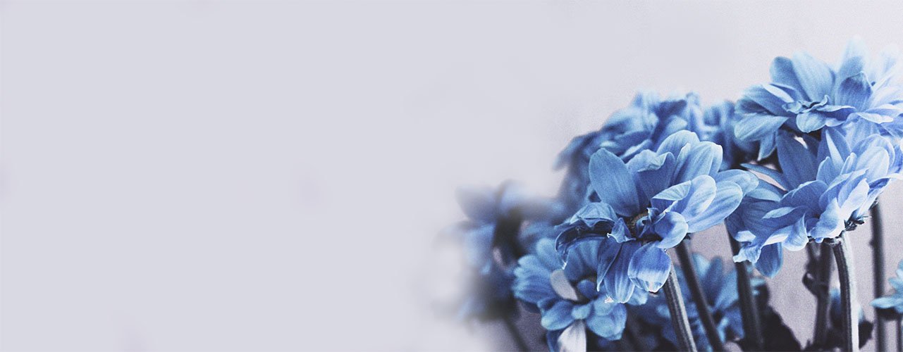 blue-flowers_1280x480