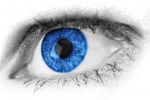 eyes blue closeup