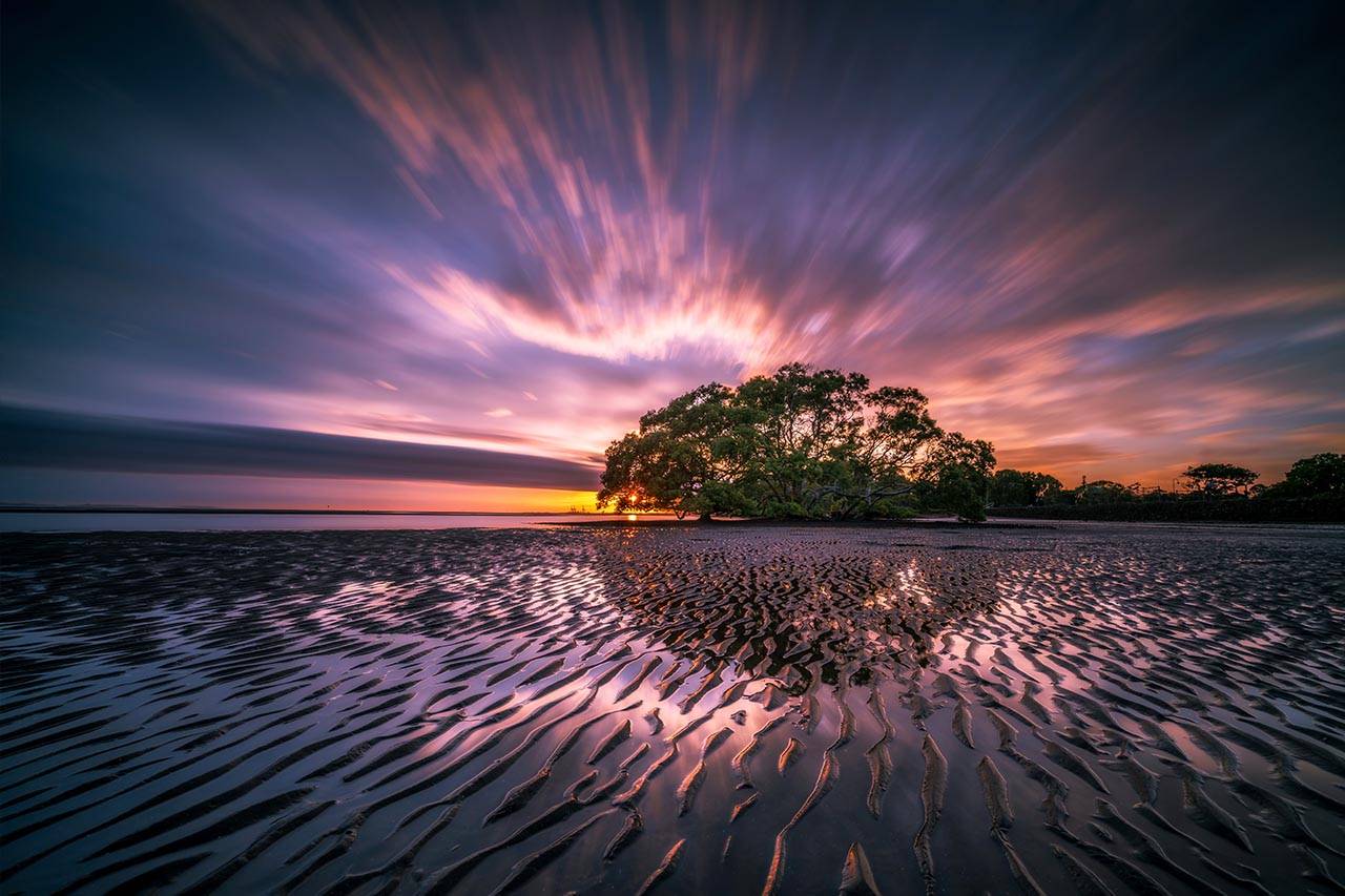 landsape-beauty-tide-sunset-tree