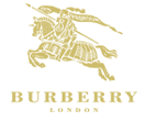 Burberry color