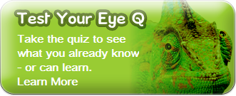 kids vision test your eye q
