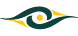 icon eye