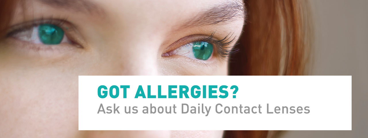 Dailies-for-Allergies-Slideshow
