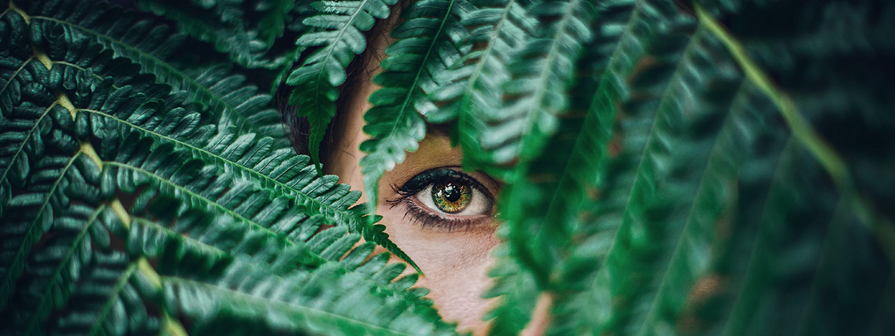 eye peeking from fern 1280x480