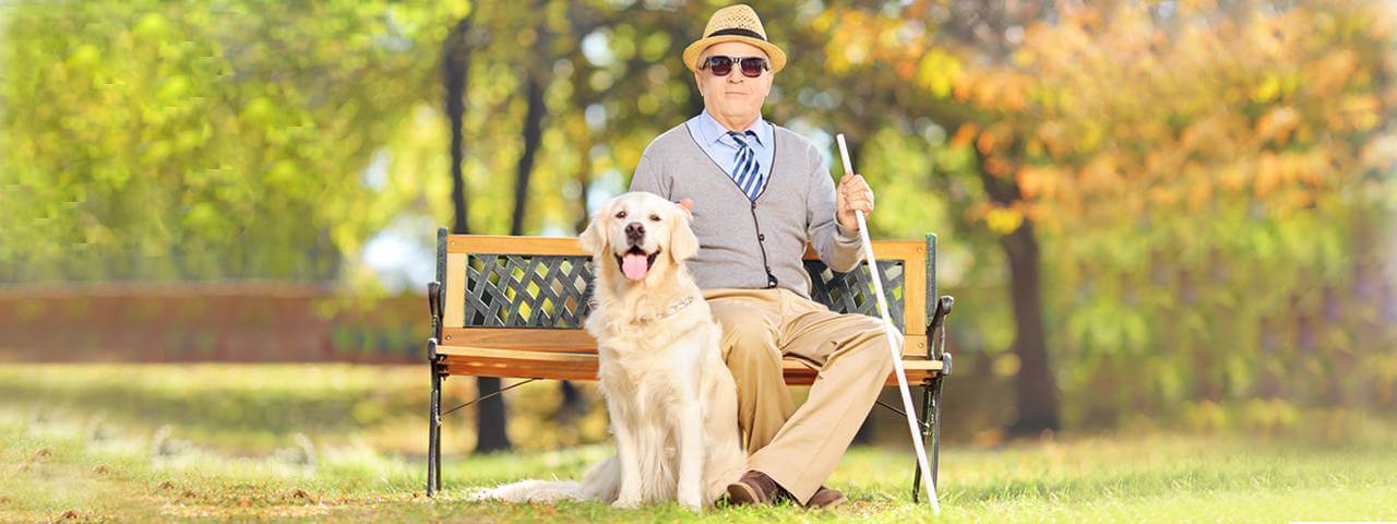 Man blind from glaucoma, with dog