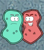 inv bacteria