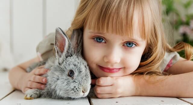 girl lying on white surface petting gray rabbit 1462634