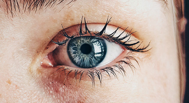 What Causes Retinal Tears 640×350 1.jpg