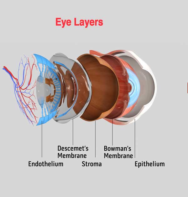 eye layers