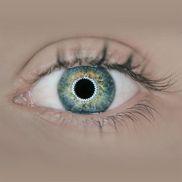 Close-up of woman's blue eye