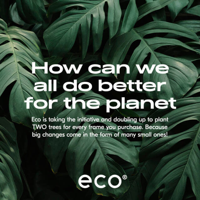 eco sustainable