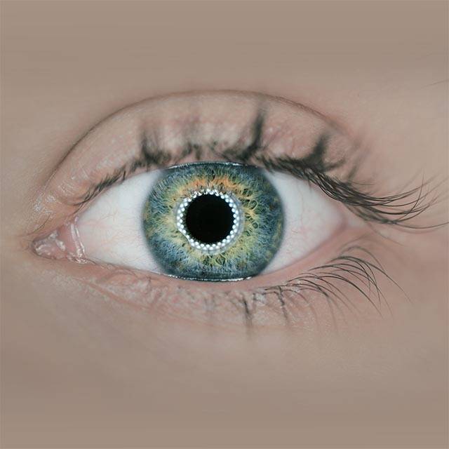 The human Eye