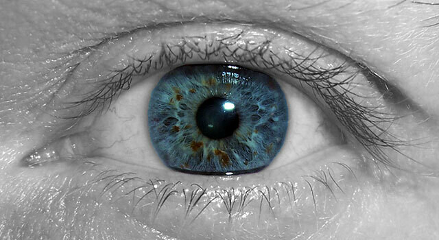 blue eye on grey background.jpg