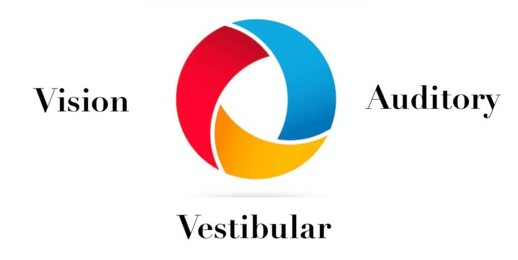 vision auditory vestibular logo