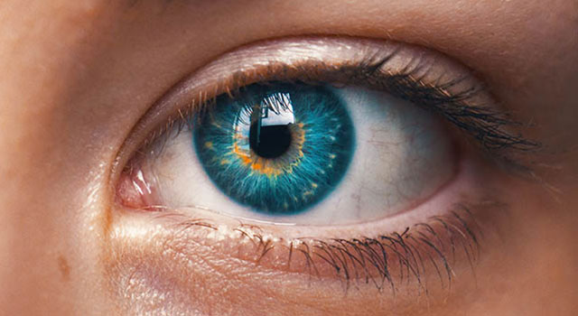 green eye close up 640×350