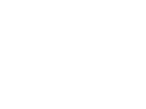 Neuro Visual Performance