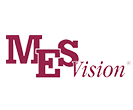 MES-Vision-Logo