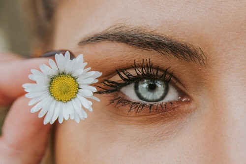 blue eye with daisy image asset