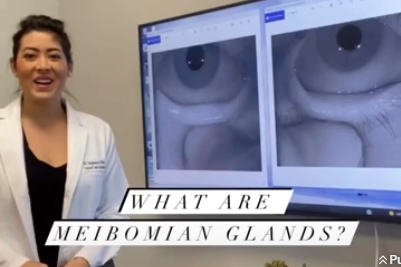 What are Meibomian Glands