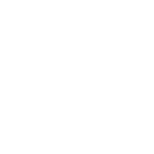 armani junior