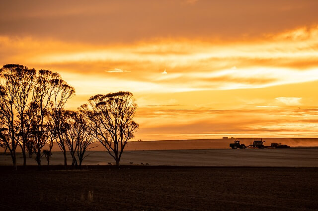 Wheat Belt Region W Australia 640