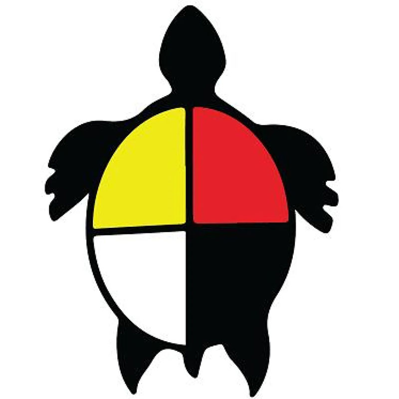 turtle symbol
