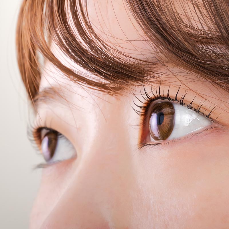 Asian Female Contacts Close Up