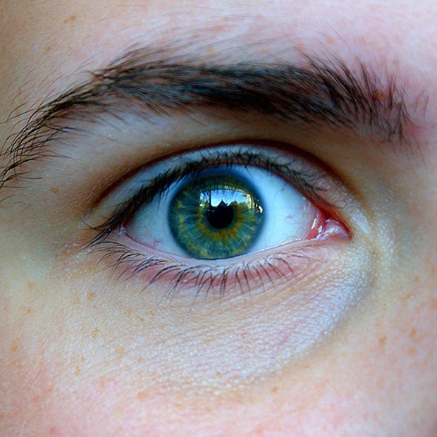 Closeup shot of a persons green eye