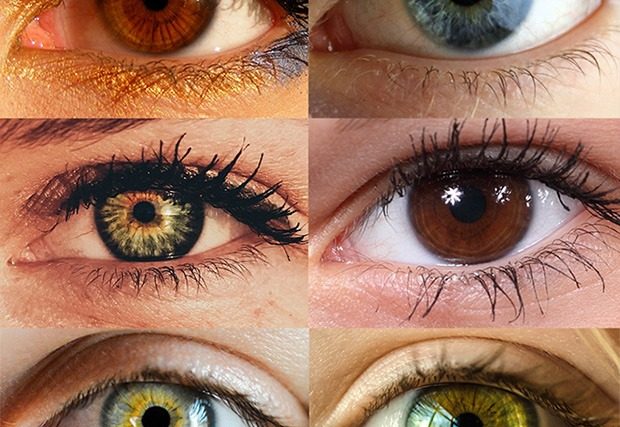 Closeup shot of six various eyes