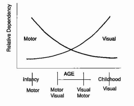 Visual Motor Hierarchy