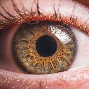 cornea closeup
