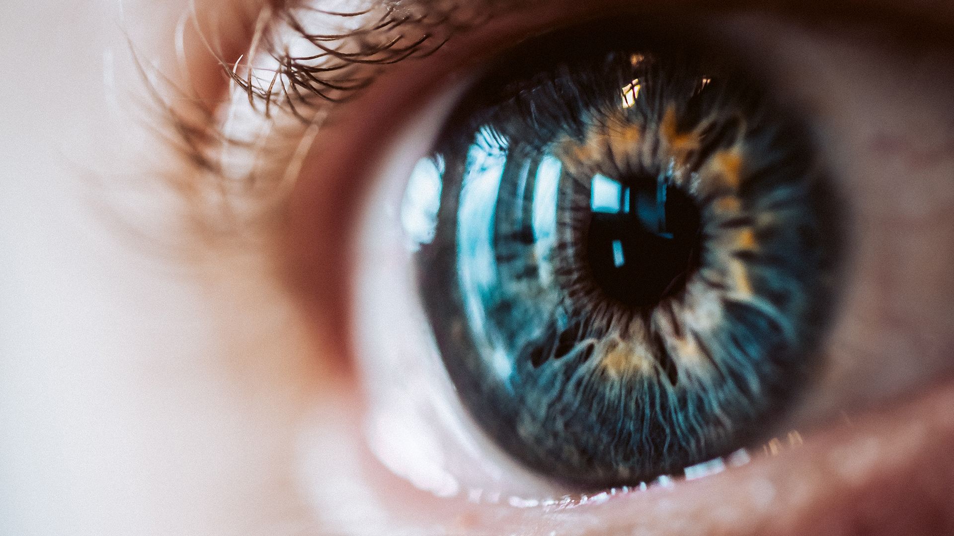 caucasian closeup of enlarged human eye with beautiful colors