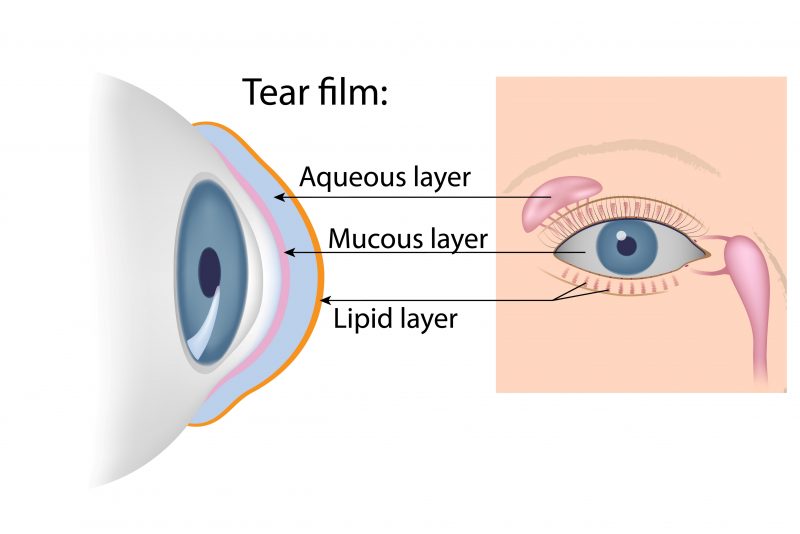 composition and sources of tear film