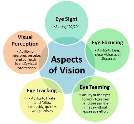 Aspects of vision