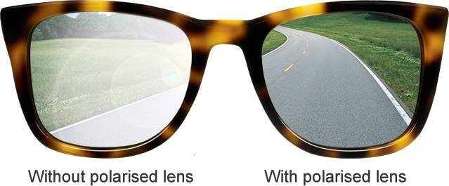polarized glasses