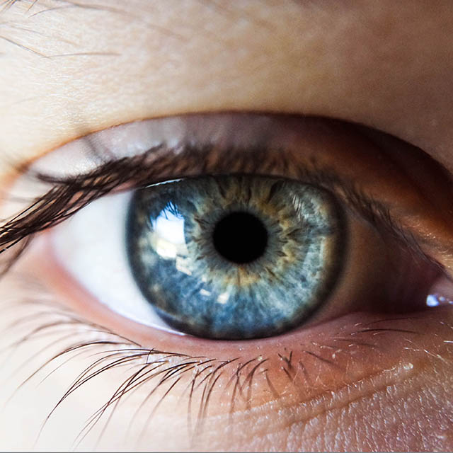 Find Diseases by Looking in the Eyes
