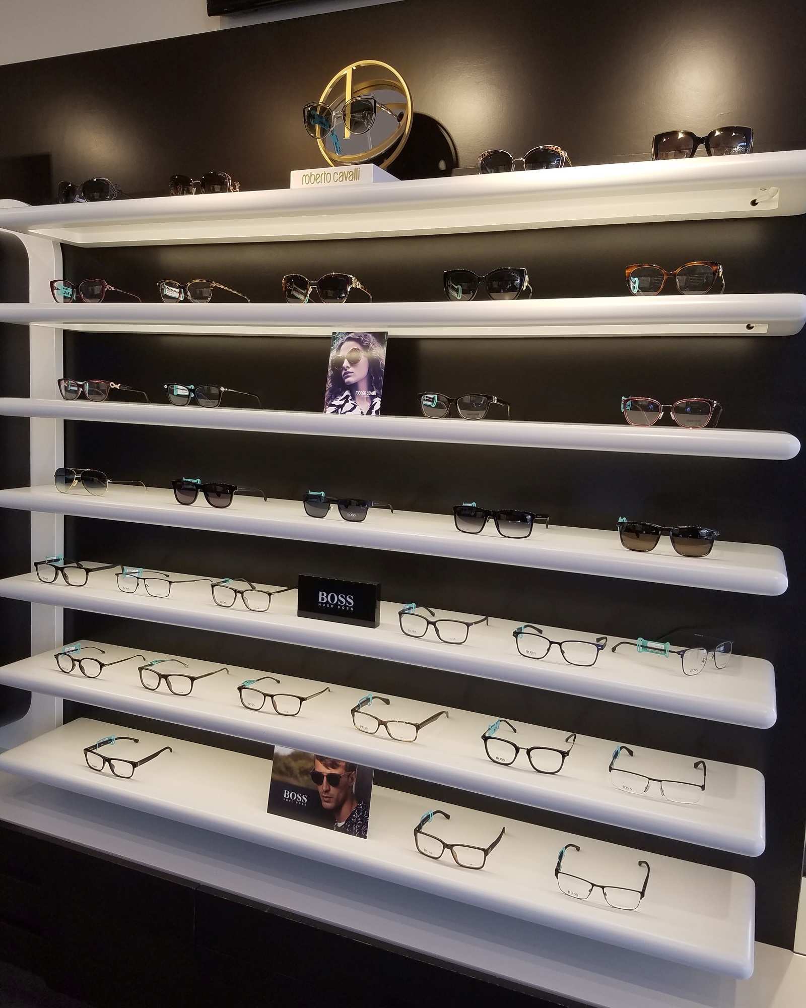 eyeglass and sunglass display 8by10