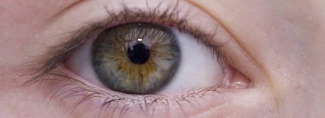 Optometrist, brown eye close-up in Danbury, CT