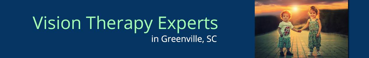 Greenville VTExperts banner copy copy